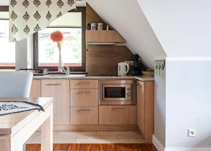 Apartament Nosalowy Sen Jacuzzi & Sauna